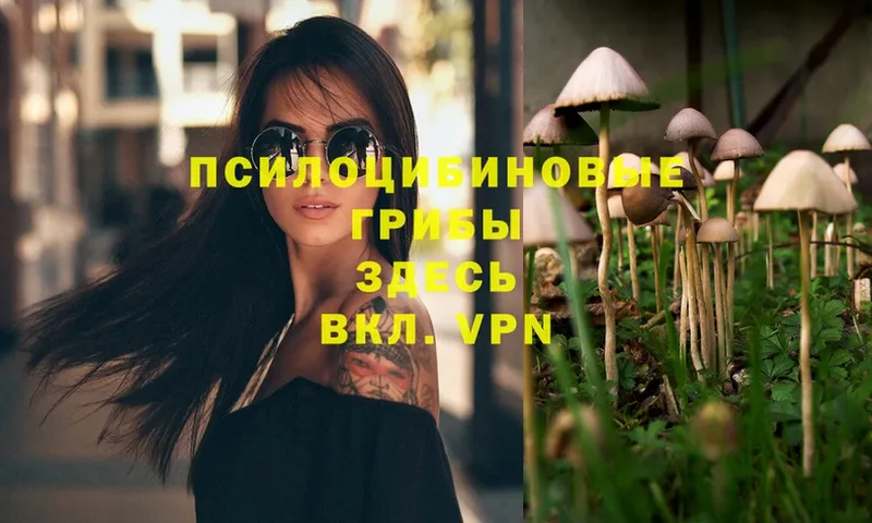 кракен как войти  Лянтор  Галлюциногенные грибы Psilocybe 